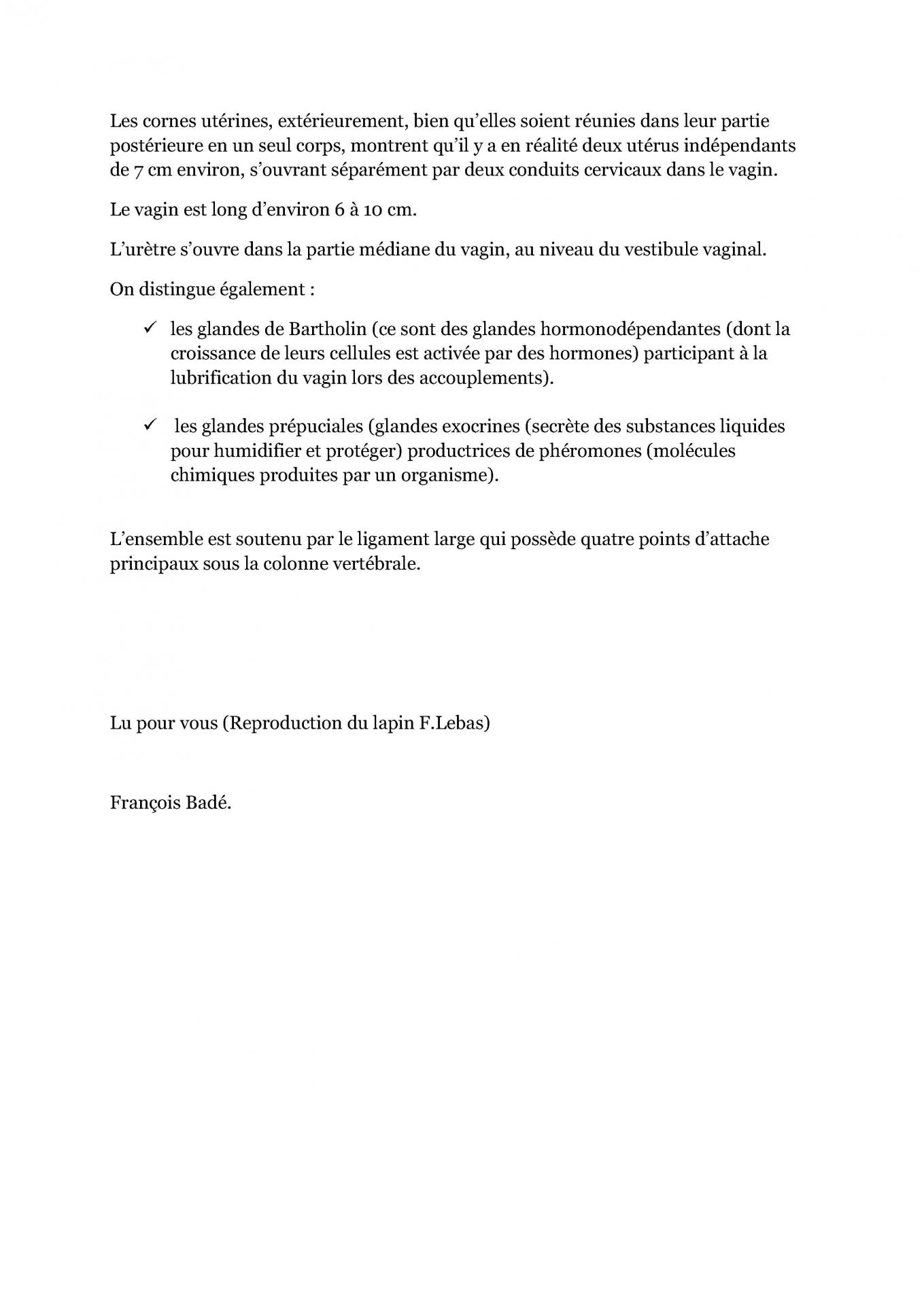 Anatomie de l appareil genital de la lapine cfelfb 2