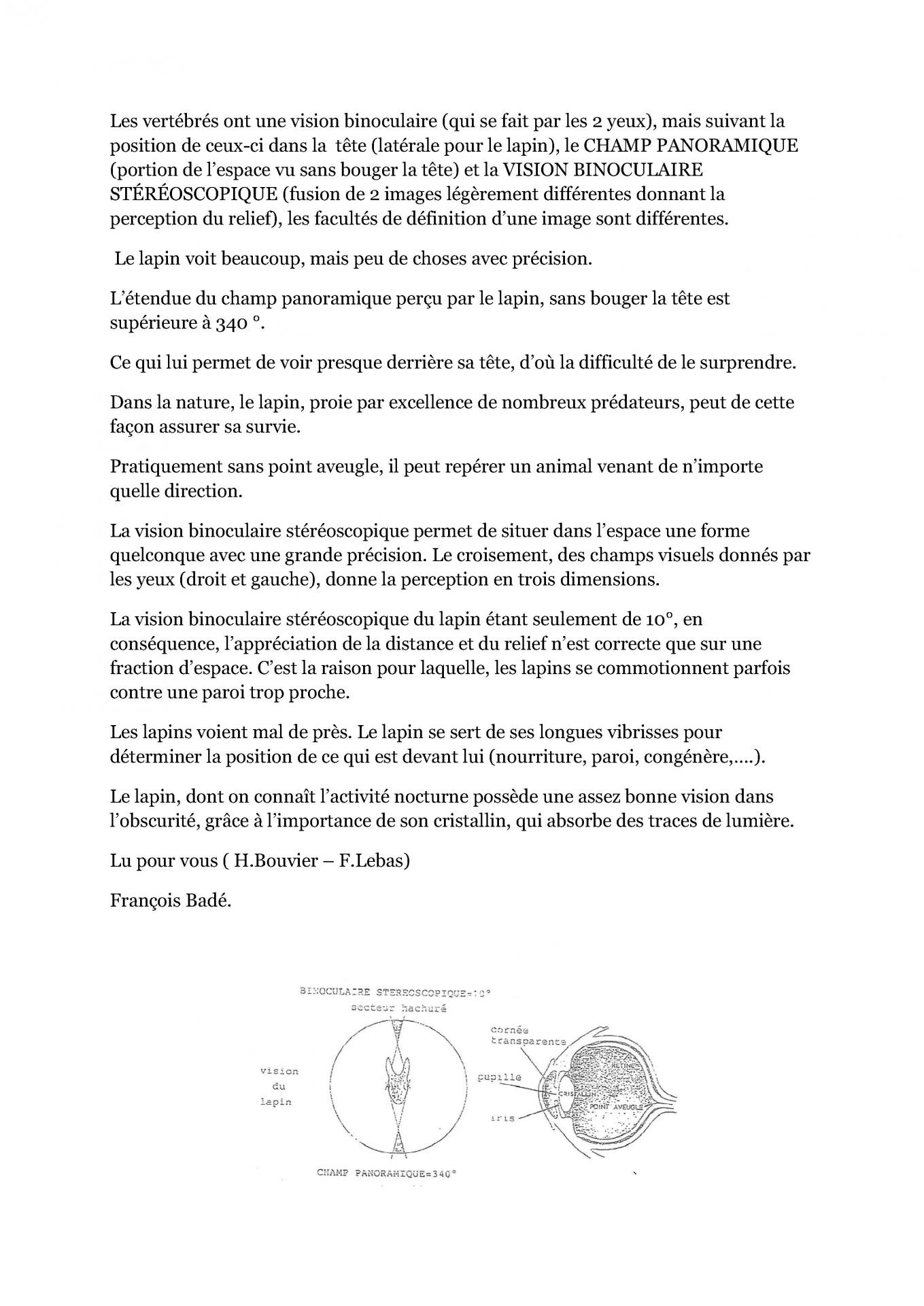 Anatomie de l oeil cfelfb 2