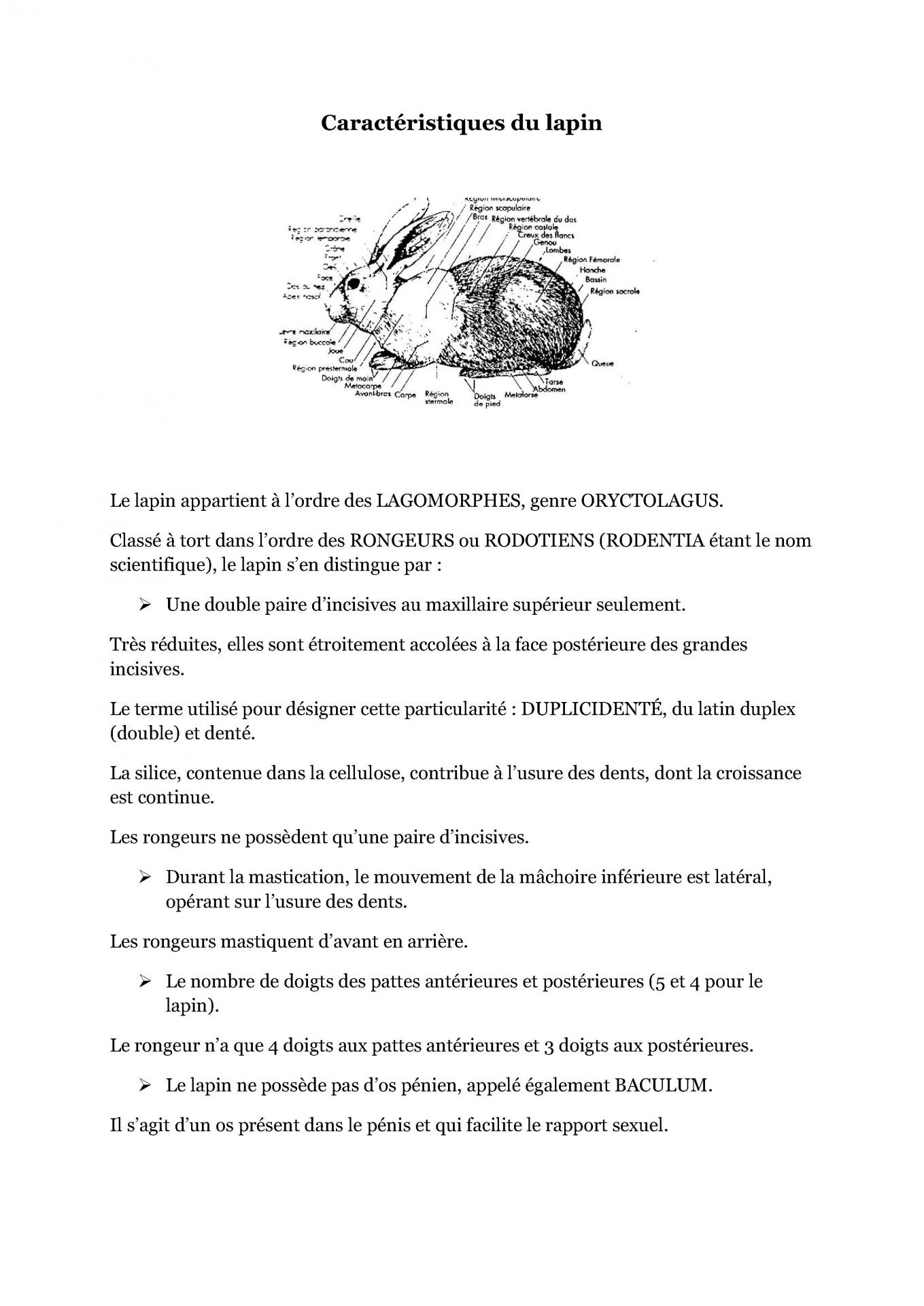 Caracteristiques du lapin cfelfb 1