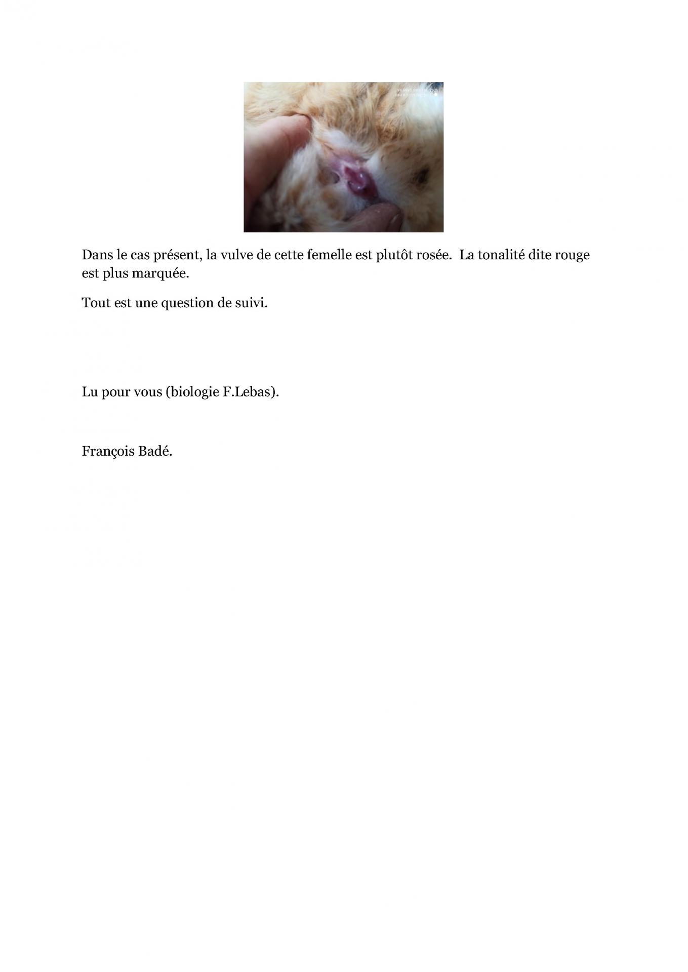 Fonctions et proprietes de la reproduction chez la femelle cfelfb 2