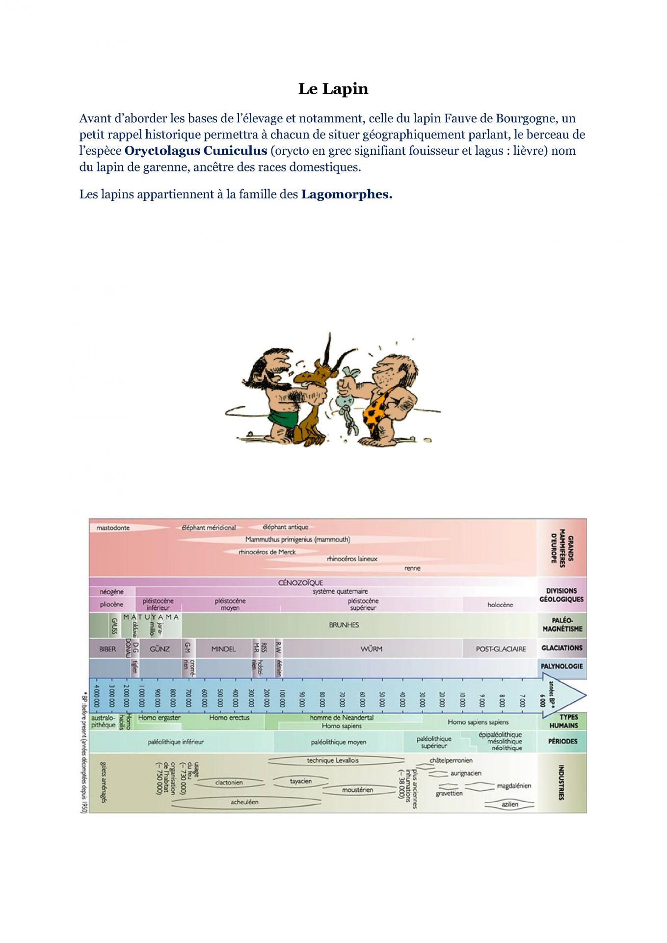 L origine du lapin 1