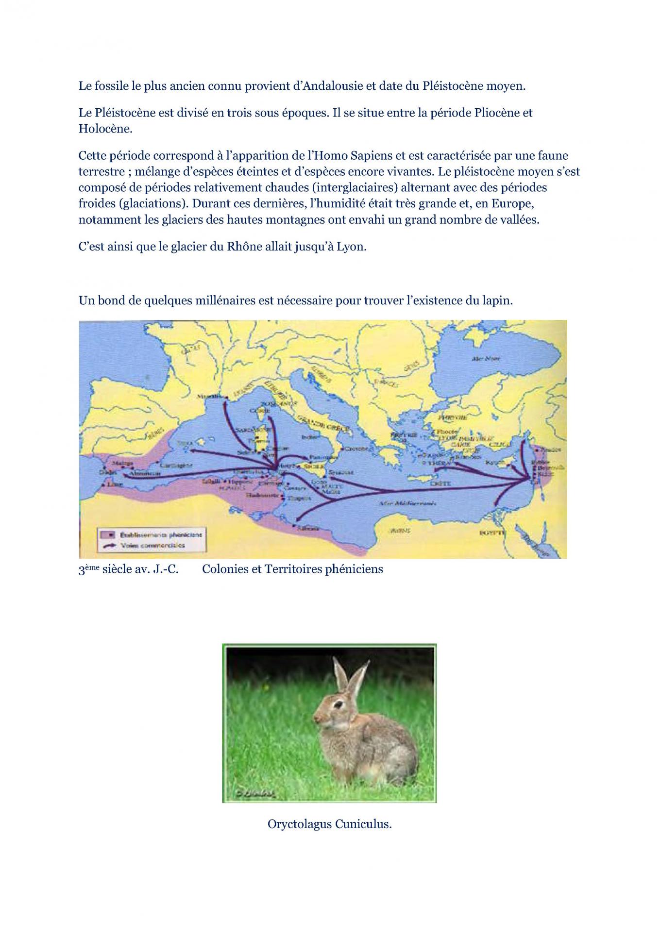 L origine du lapin 2
