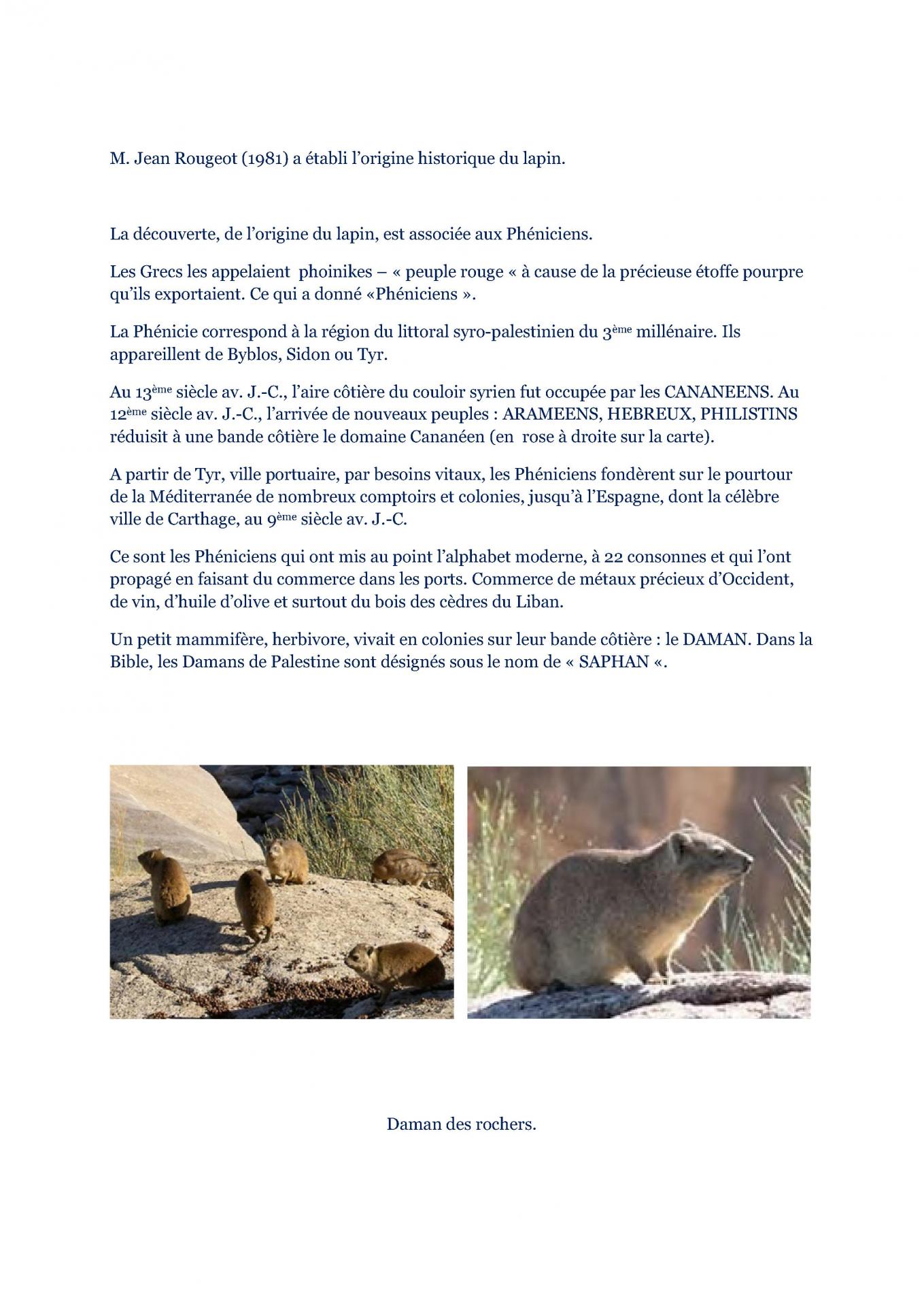 L origine du lapin 3