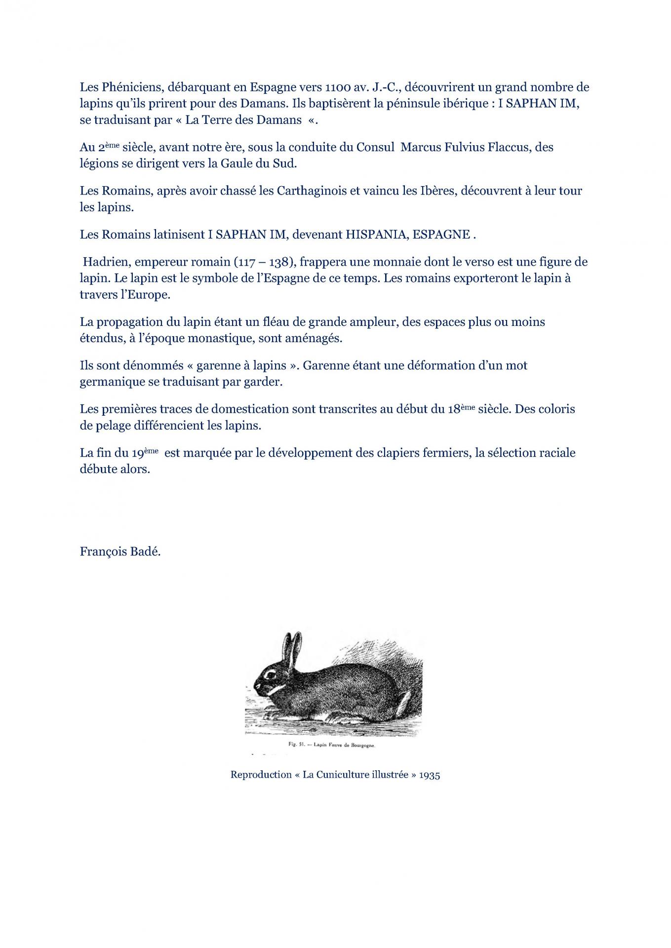 L origine du lapin 4