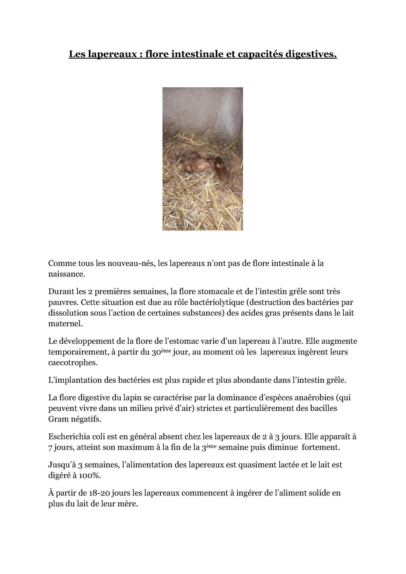 Les lapereaux flore intestinale cfelfb 1