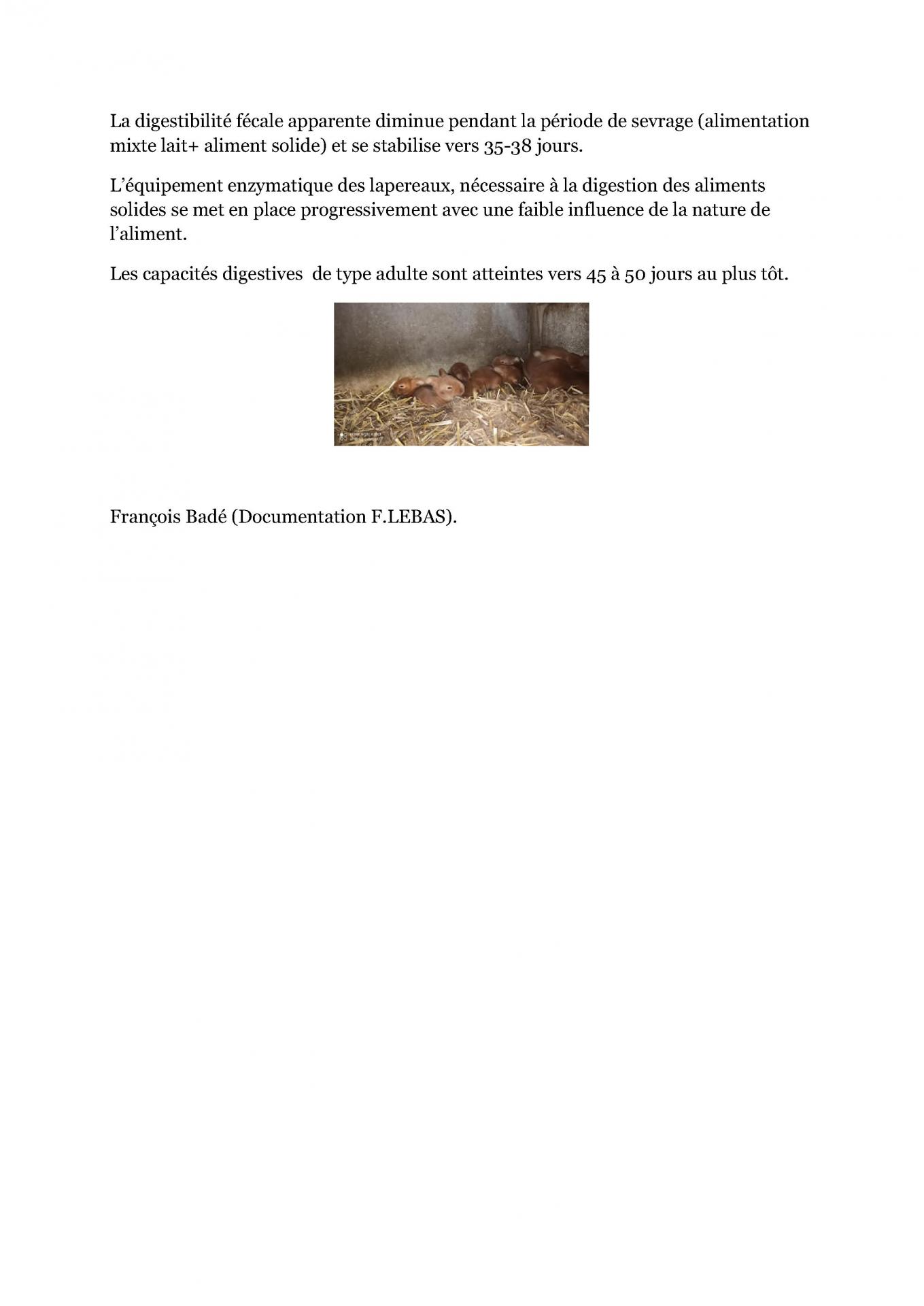 Les lapereaux flore intestinale cfelfb 2