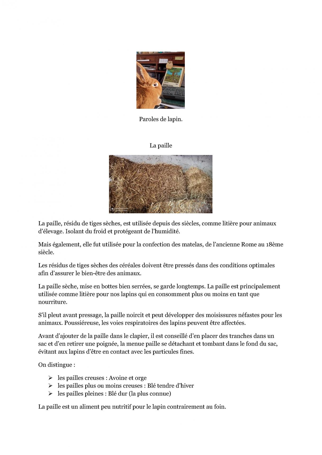 Paroles de lapin la paille 1