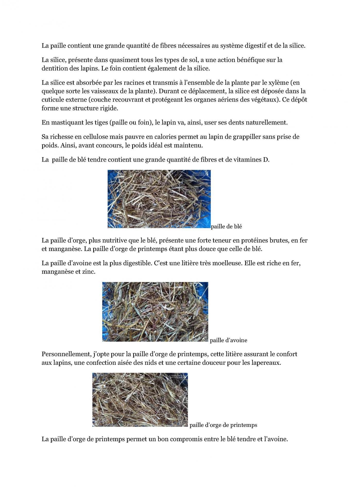Paroles de lapin la paille 2