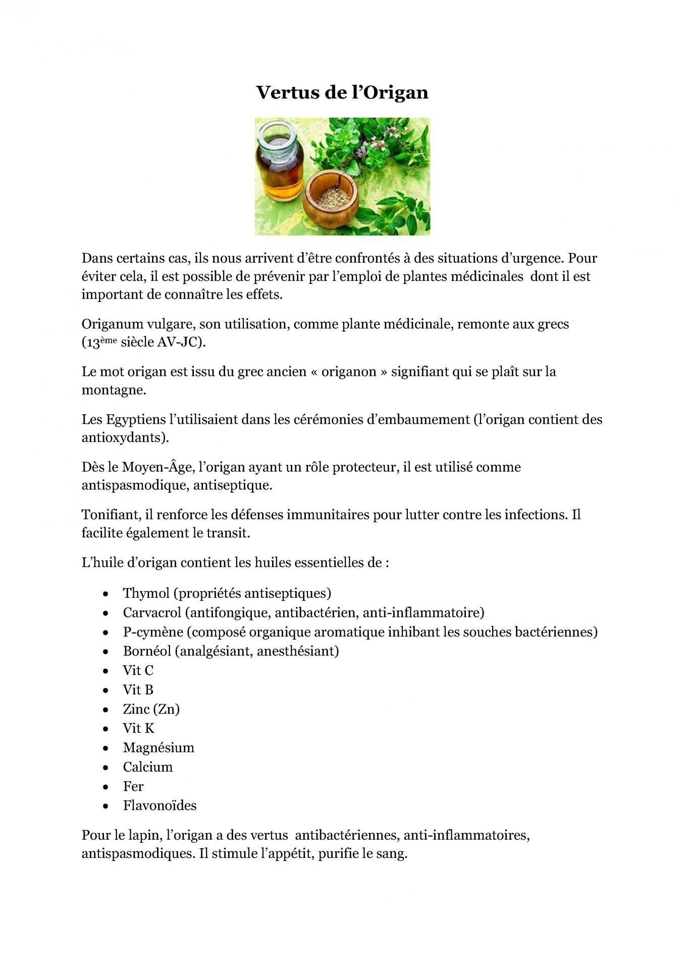 Vertus de l origan 1
