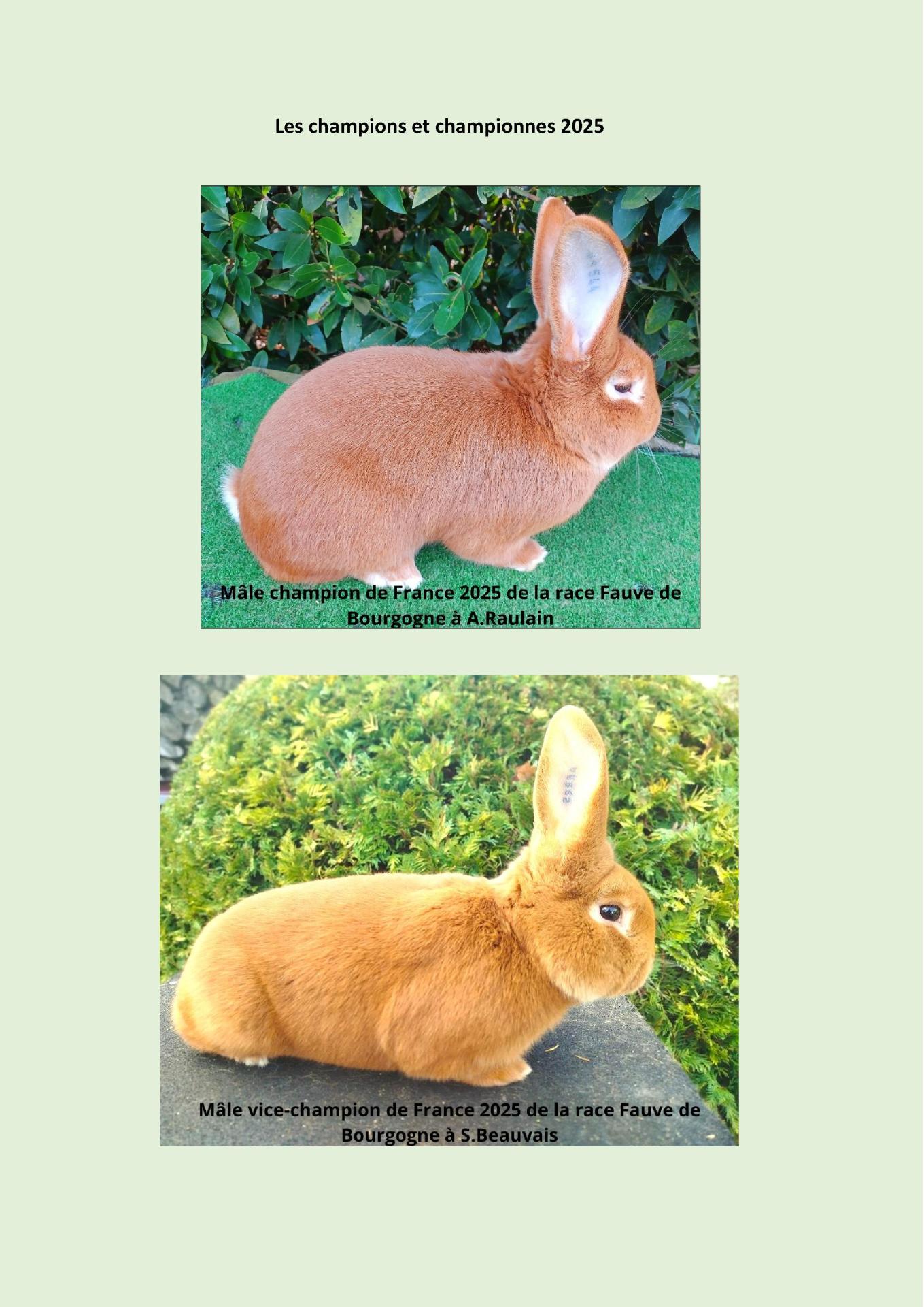 Apres palmares championnat de france 2025 3