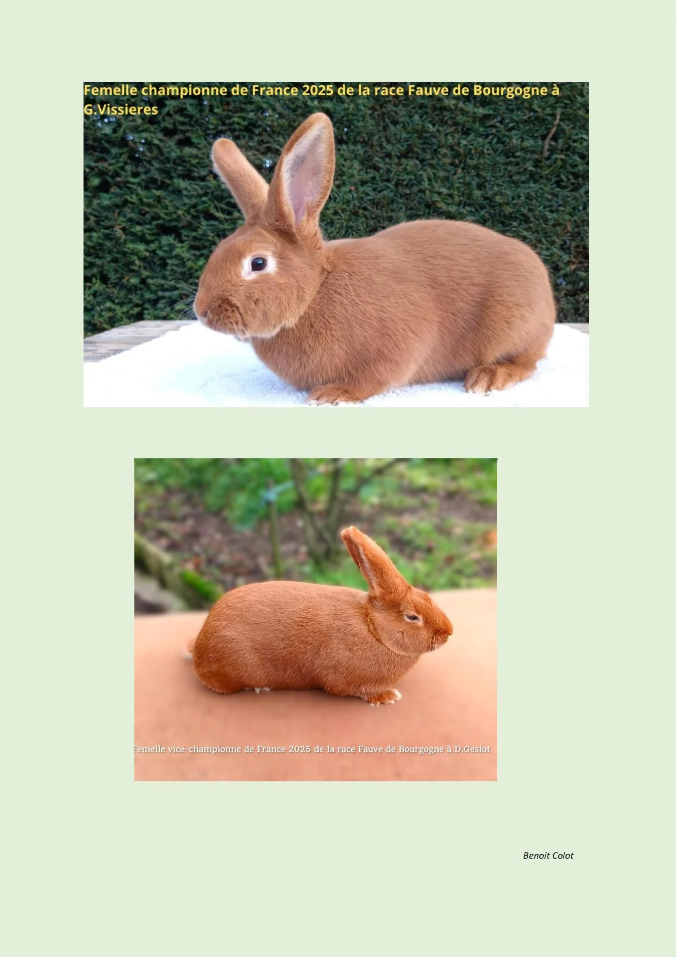 Apres palmares championnat de france 2025 4