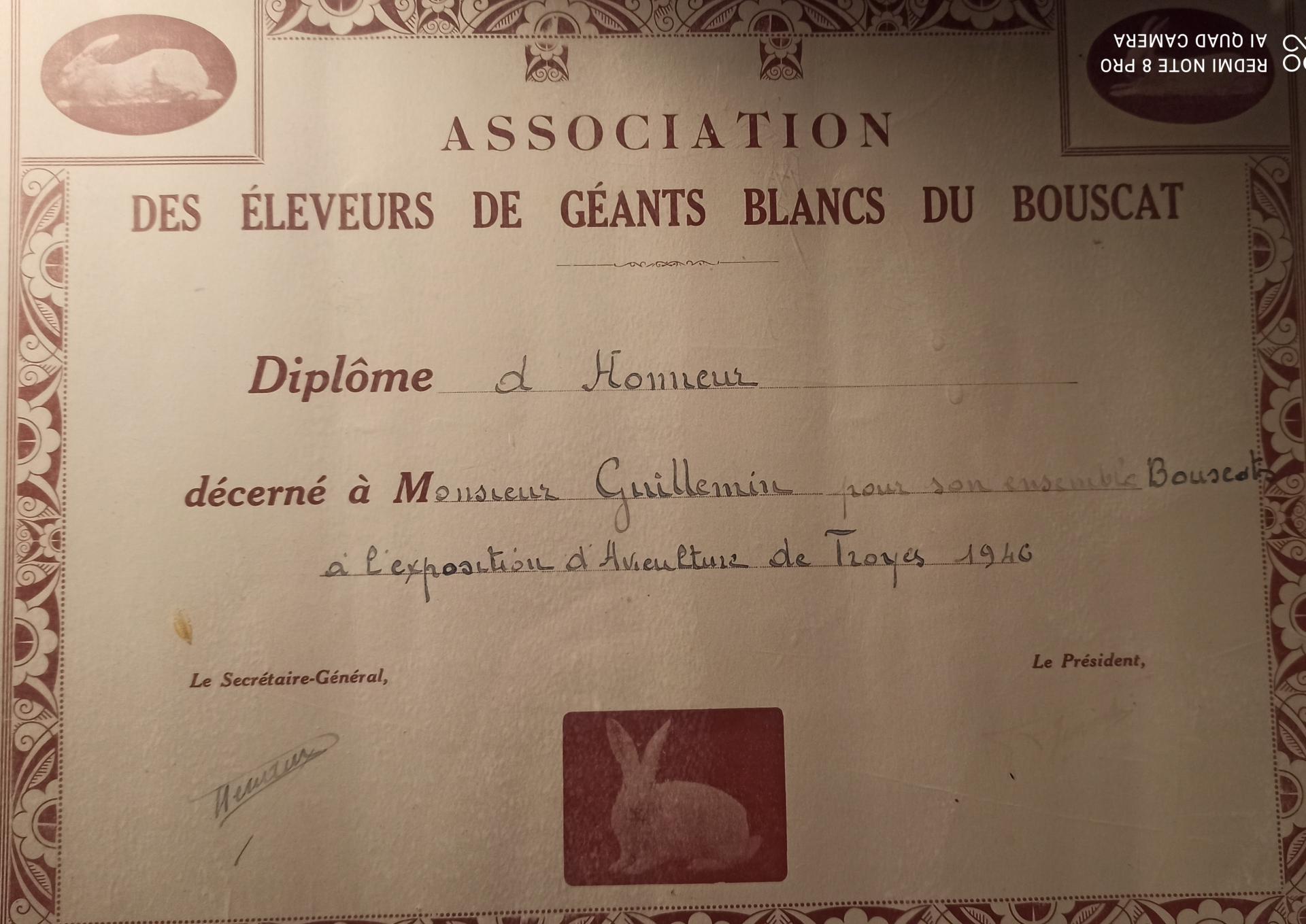 Bouscat 1946