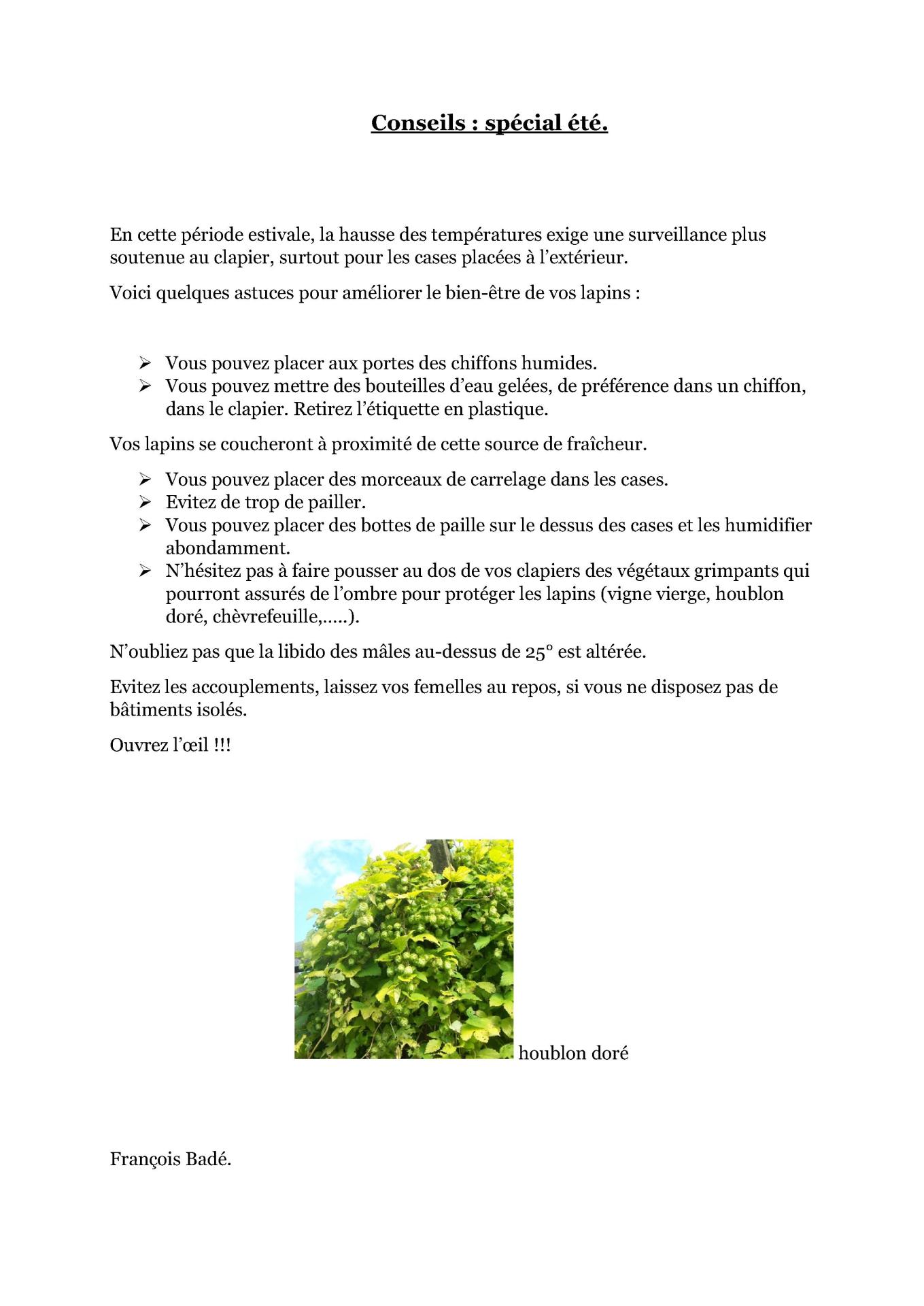 Conseils special ete