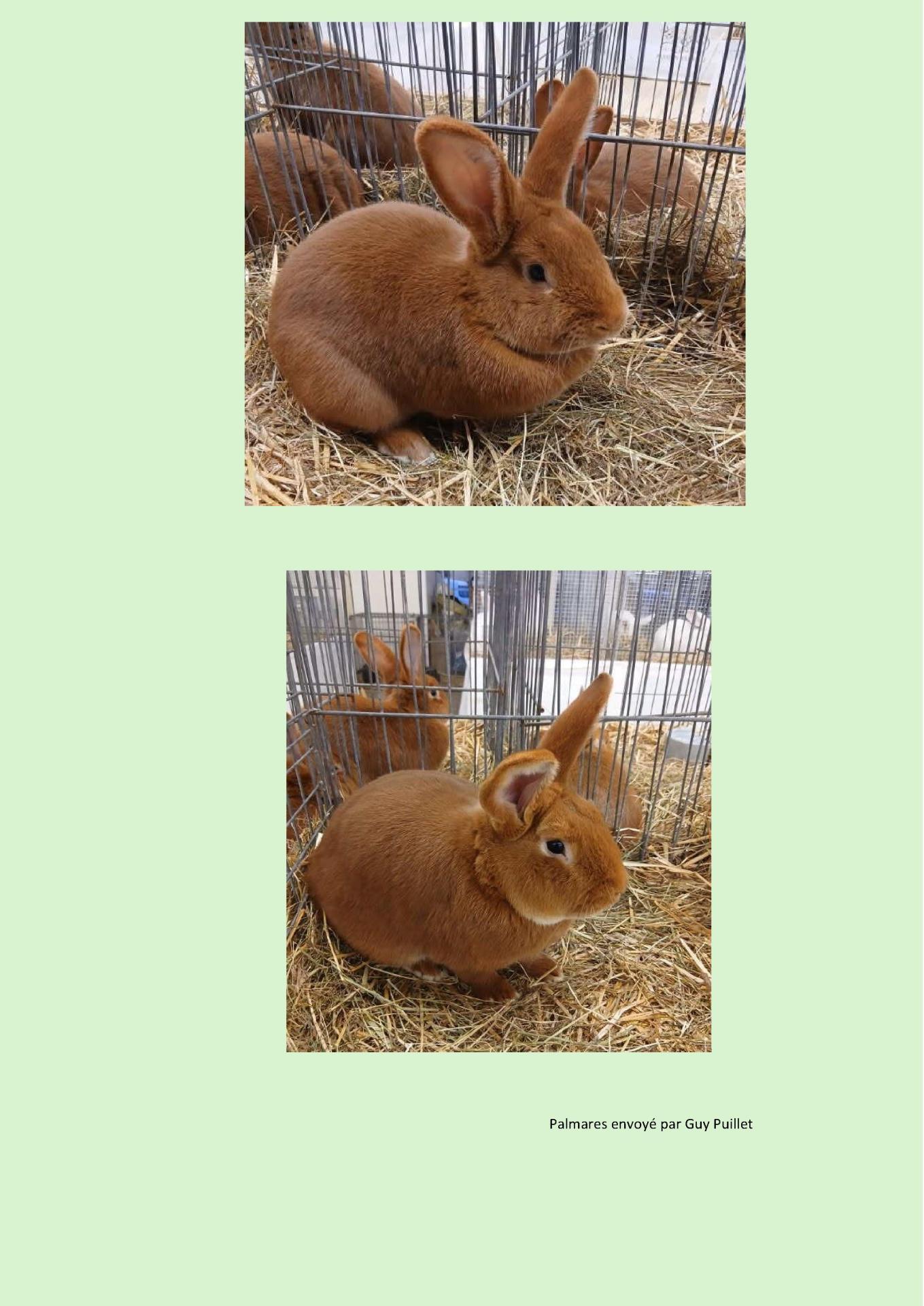 Cr expo paray le monial 71 2026 2