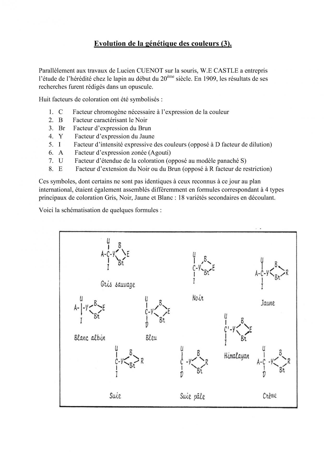 Evolution de la genetique des couleurs 3 cfelfb 1