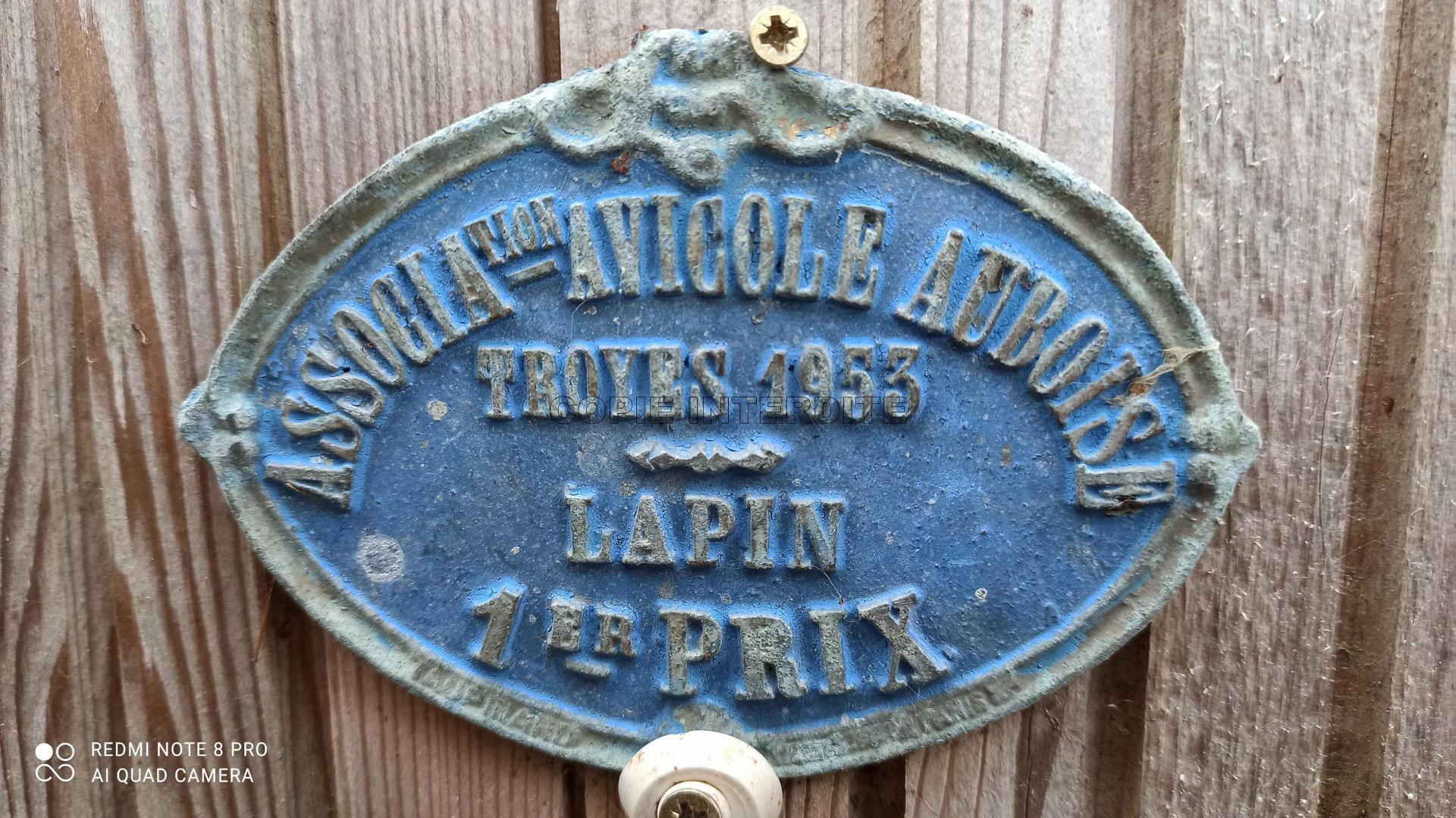 Lapin 1953 f