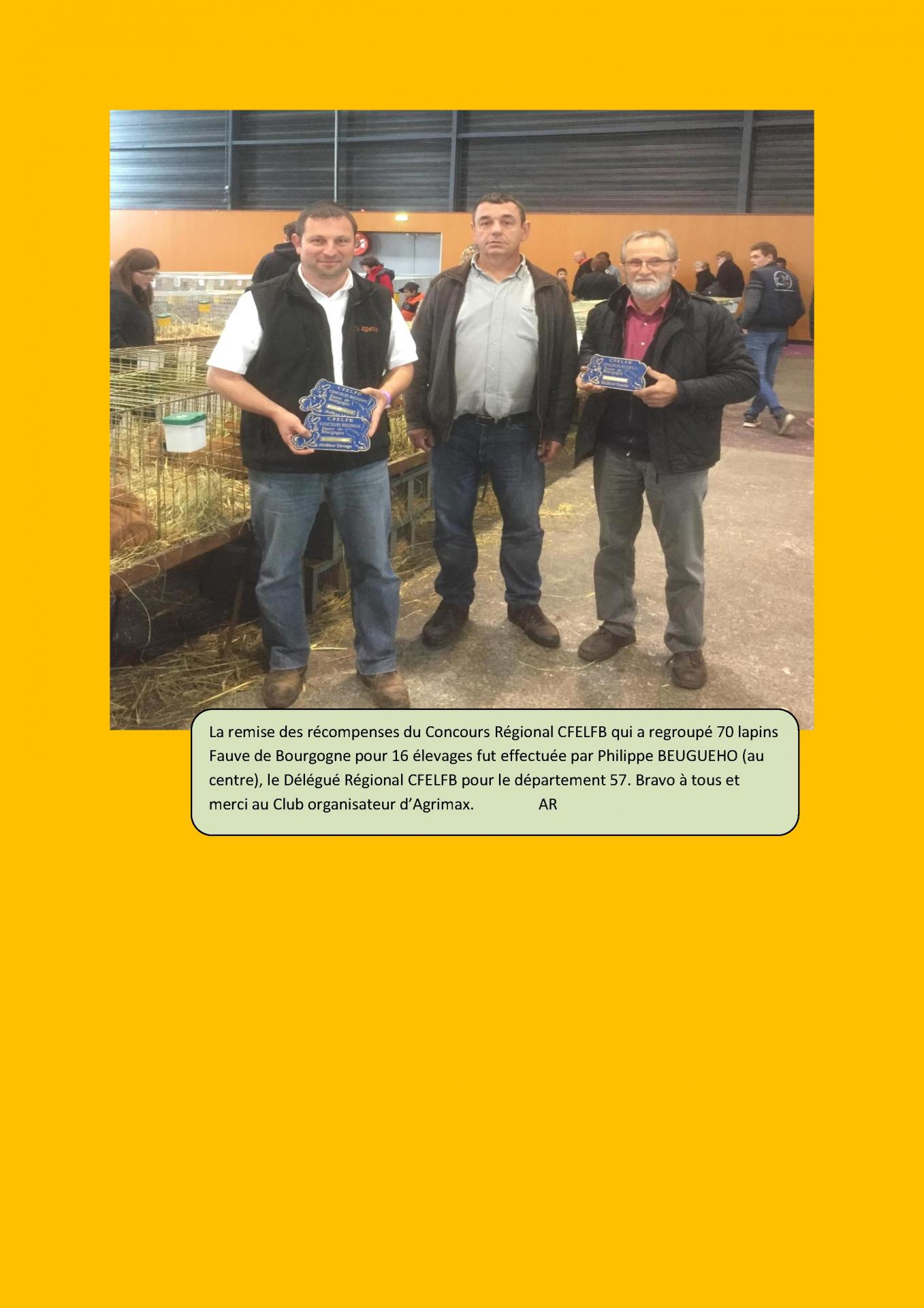 Le championnat regional du fauve de bourgogne a agrimax metz en images 2