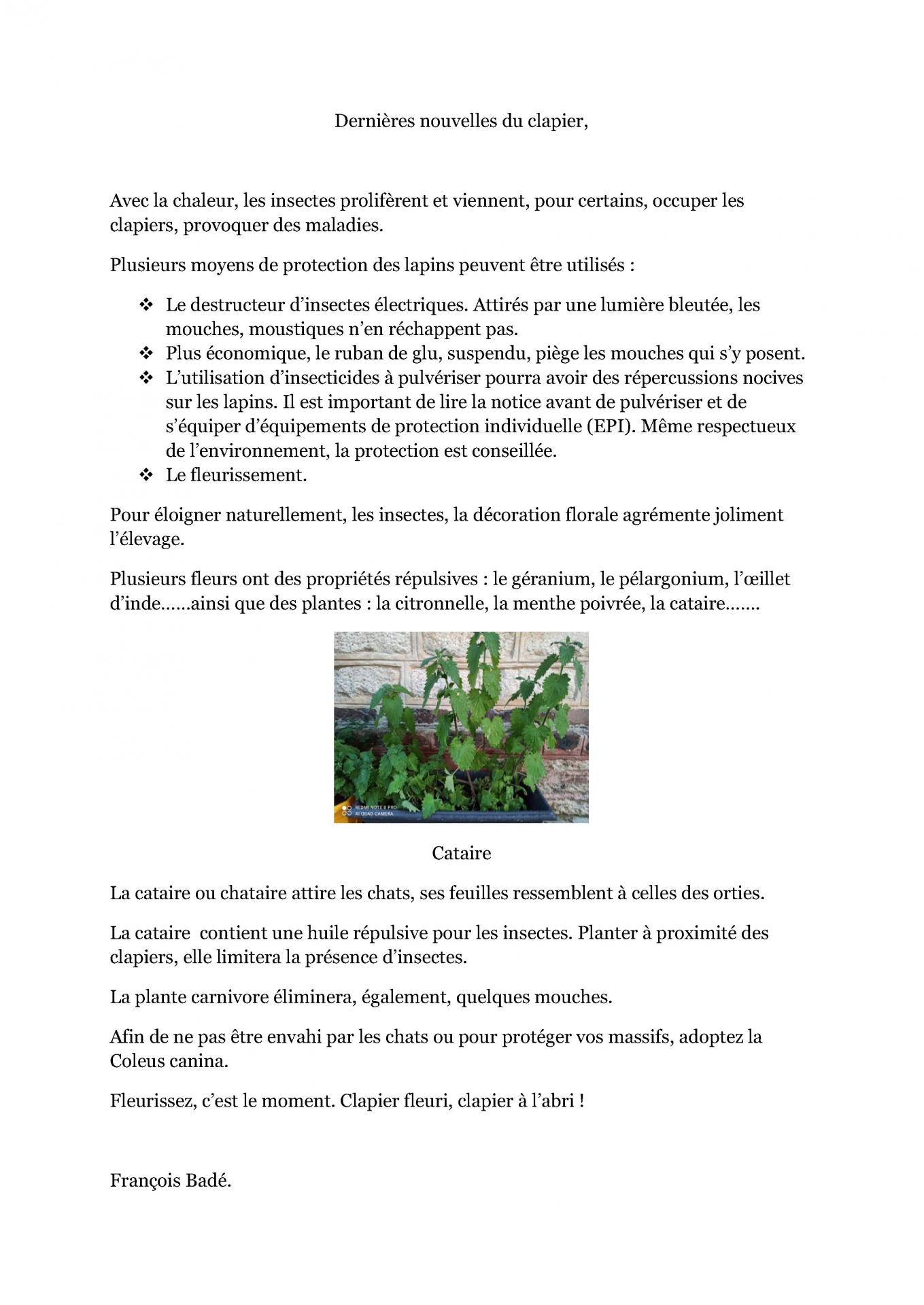 Les insectes aux clapiers