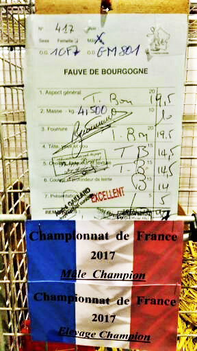 Male champion de france 2017 appartement a daniel geslot 2