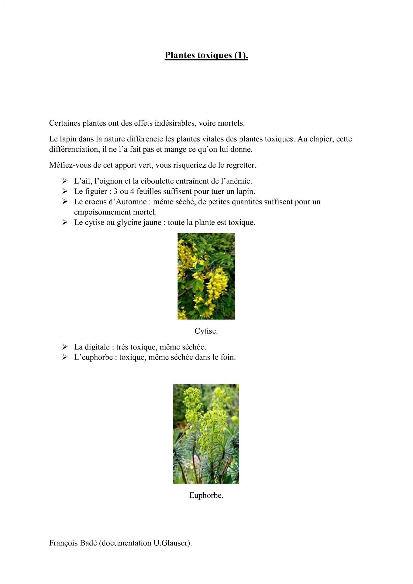 Plantes toxiques 1